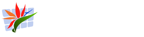 Tropical Coast Web Design