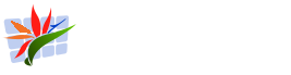 Tropical Coast Web Design