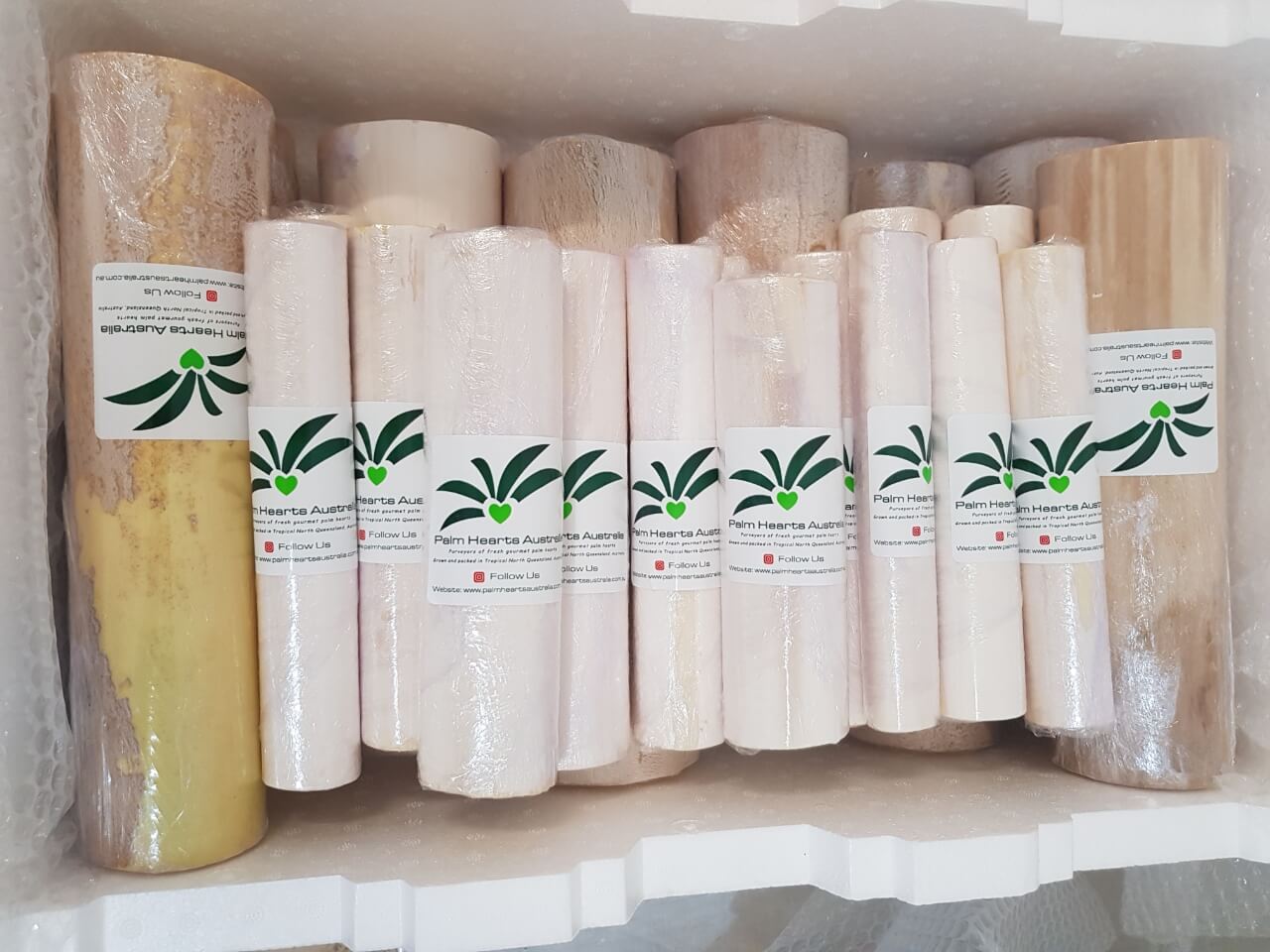Wholesale Pack
